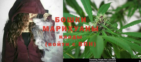 стафф Липки