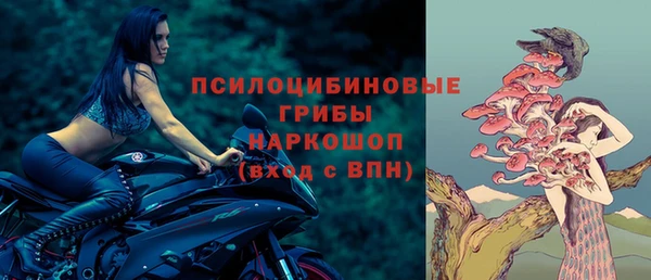 стафф Липки